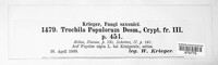 Trochila populorum image